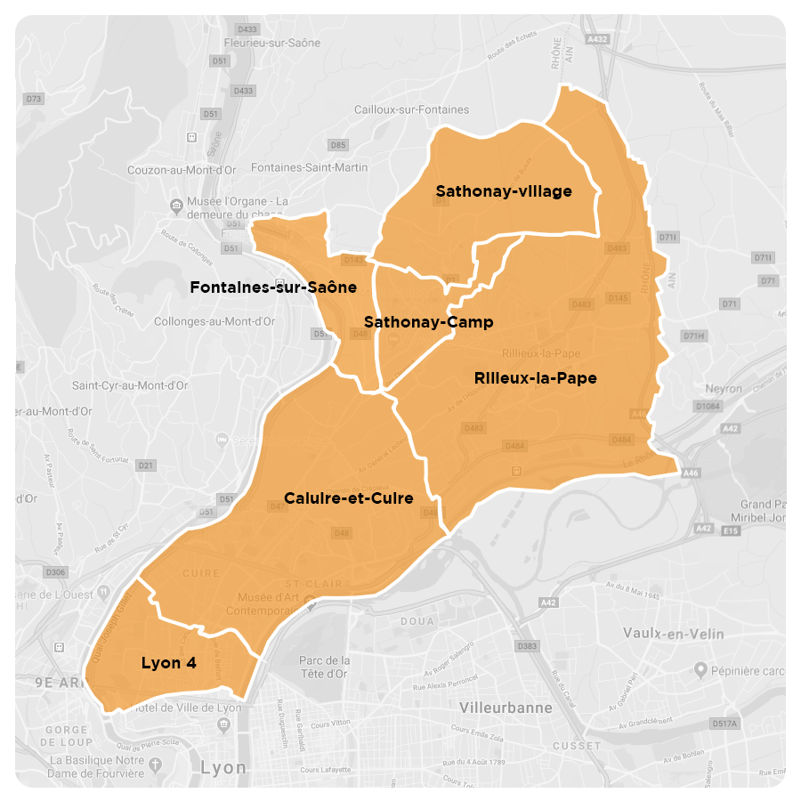 Livraison de repas Lyon